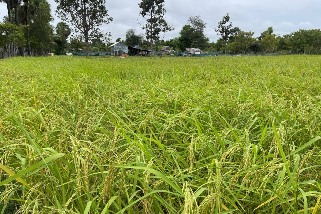 photo_2026-02-27 00.54.15