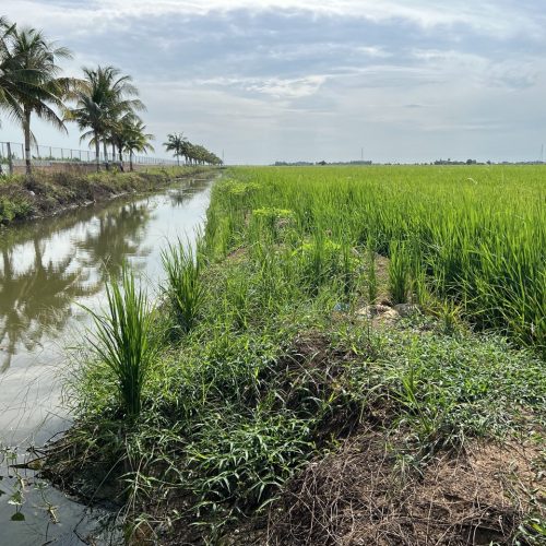 photo_2026-02-27 00.58.29